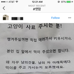 [댓글부탁해] 길고양이 <b>사료</b>주는 캣맘들.. 제가 극성인가요? (사진첨부)