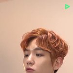 [백현] 지금 <b>일본방송</b> 백현이