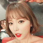 [인피니트] 그저 적당히 속으면 그만
