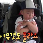 [댓글부탁해] 나 위로해주라..