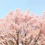 너네 지금 <b>배사</b> 뭐양