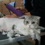 [댓글부탁해] 정신병 있는 사람 있음?