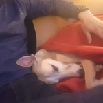 맥주 한잔하다가 갑자기 여자에게 다리배개 <b>해준</b>썰 인증샷