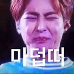 [시우민] 시우민 마덥떠 <b>콜렉션</b> 추가요ㅋㅋㅋㅋㅋㅋ