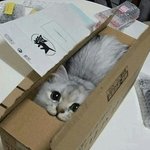 굿나익~