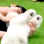 [EXO] 애듀라 심심해 <b>노라조</b>