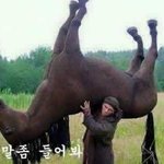 [드루와] 확실히 사람이 <b>점심</b> 쯤에 제일 예민해지는 듯
