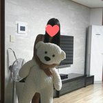 [댓글부탁해] 대형곰인형 헐값에팔께ㅠㅠㅠ드루왕