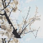 새내기인데 좋아하는 <b>남자</b> <b>선배</b>랑 밥먹을 기회가 생겼어요(도와주세요ㅜㅜ)
