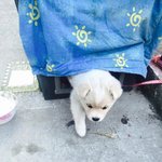 <b>실업</b>곈데 고졸대졸 대우 다르나