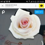 [방탄소년단] 핔2<b>캣</b>으트에 각진 턱 주인공..!