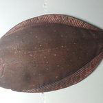 [드루와] 생선 <b>손질</b> 후기