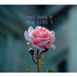 다들 남친 어케 사귀게 됐는지 알려주라..