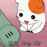 이번엔 에비<b>츄</b>사진 올려줄겟