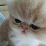 오빠 얘 조아하자<b>낭</b>