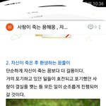 [드루와] 나 꿈 꿨는데 너무 슬퍼