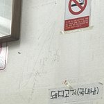 [EXO] <b>타</b>돌 언급 ㅈㅅ한데ㅋㅋㅋㅋㅋ