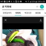 [댓글부탁해] 야ㅋㅋㄱㅋㅋ 나소름돋았는데 <b>키위</b>가 진짜 새야?