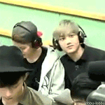 [EXO] 난 메보들 취향 조금 갈리는게