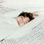 [EXO] 이거 배경으로 하고싶은데 어떻게쓰면좋을까