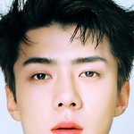 [EXO] 난천사이므로 <b>배사</b>를 푼다