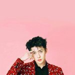 [EXO] 이거 배경쓰면 <b>존예</b>