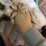 [EXO] 우리애긴데