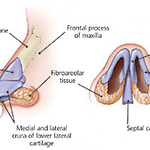 [댓글부탁해] 지금 빨리 코끝 만져<b>보삼</b>!!!!!!!!!!!!!!!!!...