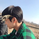 [EXO] 저게 <b>더듬이</b>가 아니였다니 세상에!전혀 몰랐어 너무 놀랍다