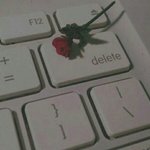 너네 다들 동아리 어디야??