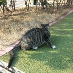 [댓글부탁해] 10대들이 생각하는 건국대학교