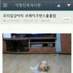 [조언부탁해] 짝사랑 넘나리 힘들댜..