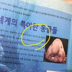 [방탄소년단] <b>시혁</b>이한테 왜 그래요..