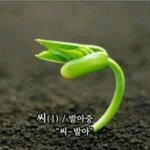 얘들아 ㅅ|발 대통령!!!!!!!