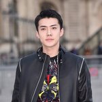 파리 루이비통 F/W 패션쇼에서 베스트 <b>드레</b>서로 선정 된 아이돌