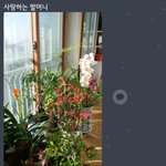 할머니 카톡보고 울컥했어요.