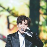 [EXO] 찬열이같은 큰댕댕이 우리집에 있으면