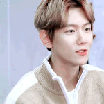 [백현] 아미고<b>TV</b> 엑소 첸백시 편(1/7) 백현 움짤 1