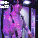 [세븐틴] ㅅㄷ 인생이 자꾸 내 덕질 <b>방해</b>해;;;;;