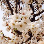 [드루와] 휴대폰으로 찍은 사진으로 소통해요.