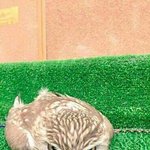 ㅋㅋㅋㅋㅋㅋ 나 <b>버슨</b>데 조카웃기네