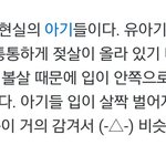 [시우민] (시우민) 민석이 <b>세모입</b>의 진실