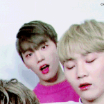 [세븐틴] 캐러떨오랜만에스밍권받아강