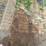 [EXO] 나 방금 엑소 <b>상추</b> 심고옴