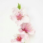 정승제 50일수학 정확한 <b>강의명</b>이 뭐야??