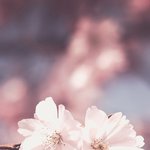 [댓글부탁해] <b>위로</b>좀 해주고 가줘