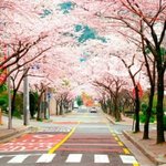 나<b>모솔</b><b>인생</b>첨으로좋아하는애생겼다ㅠ