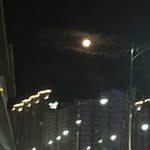 [<b>댓글</b>부탁해] 야 <b>달</b> 겁나이뿜..