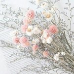 [드루와] 나한테 <b>소설</b>같은 일이 일어났어!