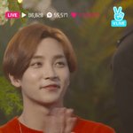 [세븐틴] ㅅㄷ 진짜 행복한 밤이다